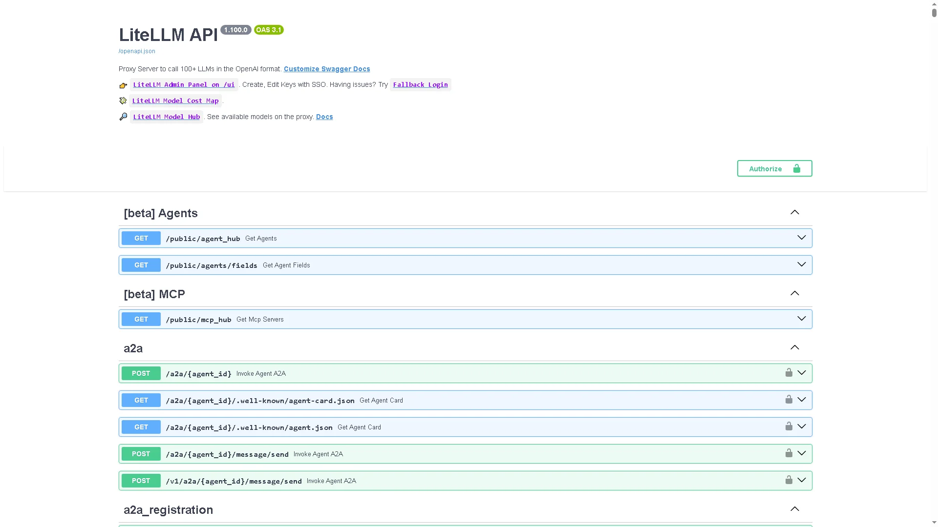 หน้า API ของ LiteLLM เวอร์ชัน 1.100.0 ที่ใช้จริงใน production