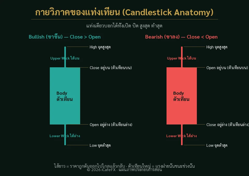แผนภาพกายวิภาคแท่งเทียน Body Wick Open Close High Low