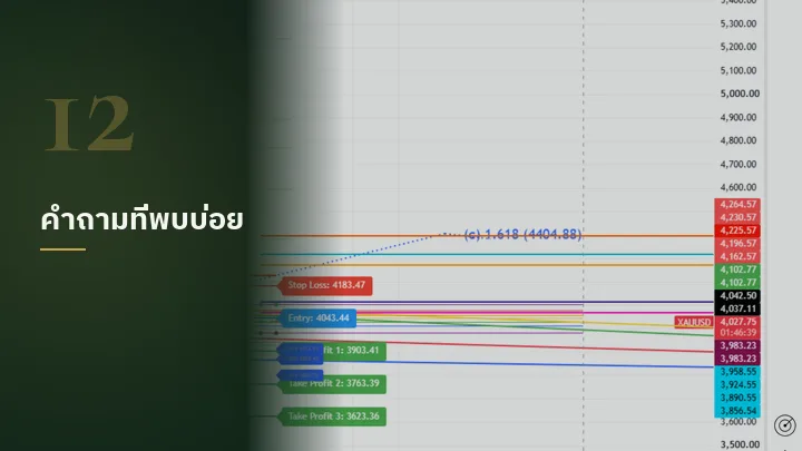 ปัญหาที่เจอบ่อย และคำถามที่พบบ่อย