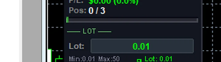 แถว LOT: ช่อง Lot 0.01 และแถบ Pos 0/3